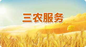 三農(nóng)服務(wù)
